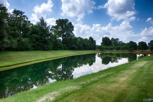 16382 Evarard Circle Nw, Harvest, AL 35749