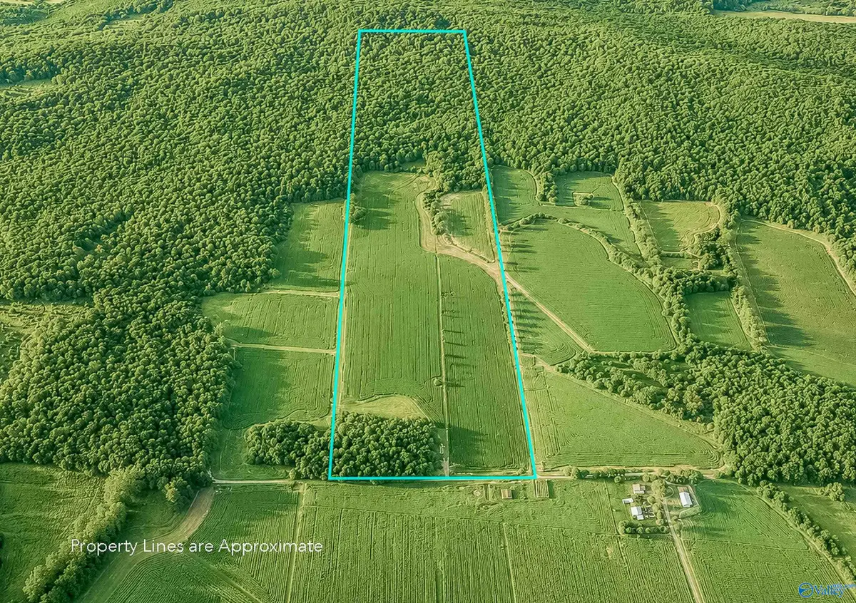 99AC Simmons Lane, New Market, AL 35761 - #1