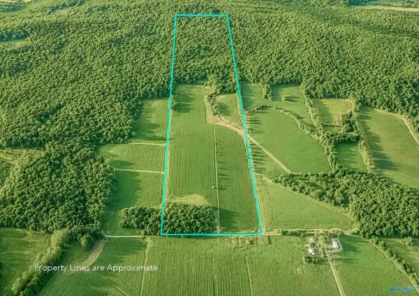 99AC Simmons Lane, New Market, AL 35761