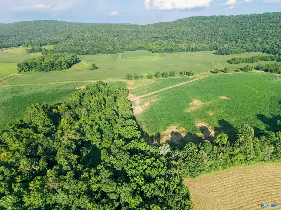 99AC Simmons Lane, New Market, AL 35761 - #2