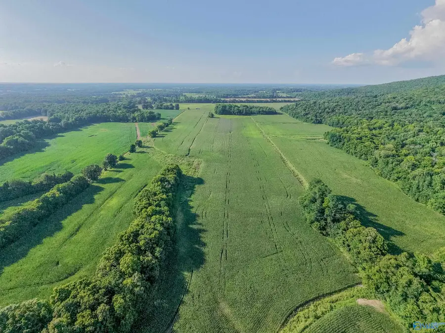 99AC Simmons Lane, New Market, AL 35761 - #3