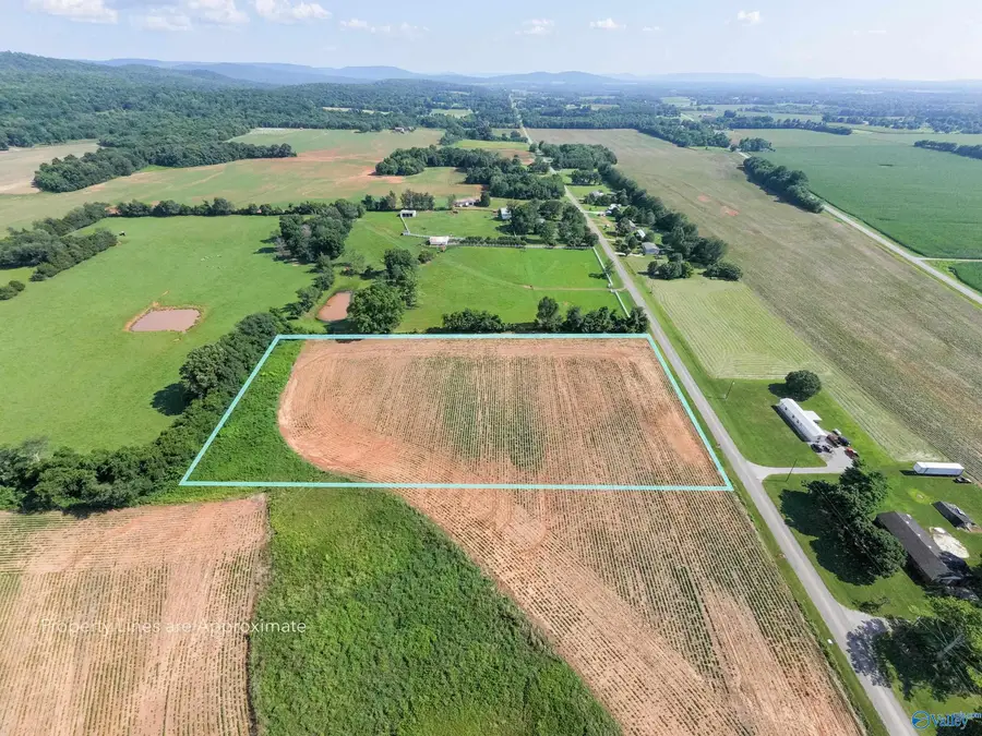 5AC Steele Lane, New Market, AL 35761 - #2