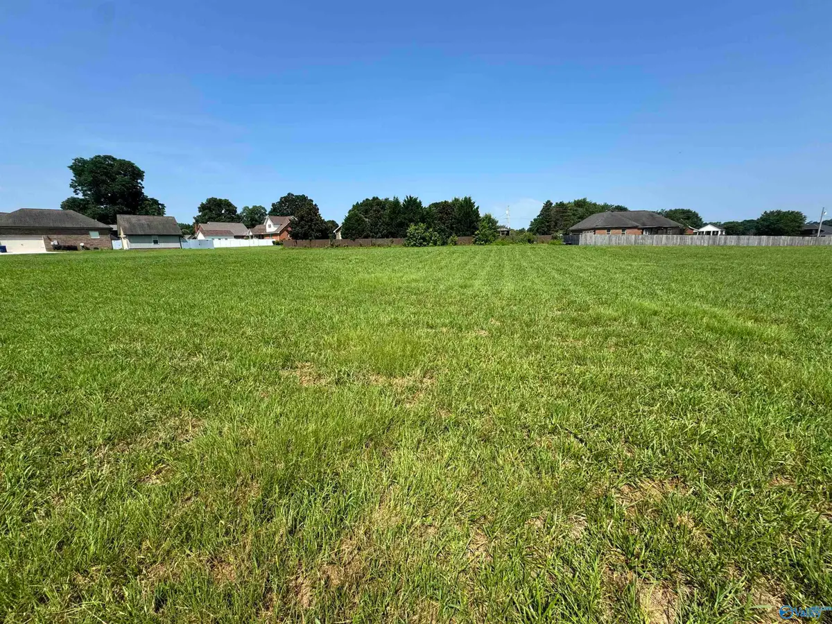 Lot 28 Dorchester Street, Albertville, AL 35951 - #1