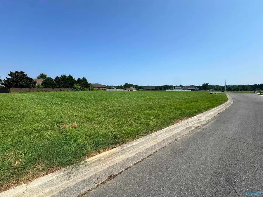 Lot 28 Dorchester Street, Albertville, AL 35951 - #2