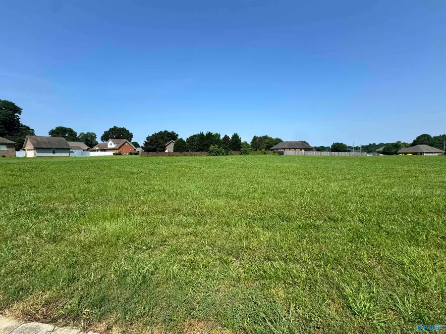 Lot 28 Dorchester Street, Albertville, AL 35951 - #3
