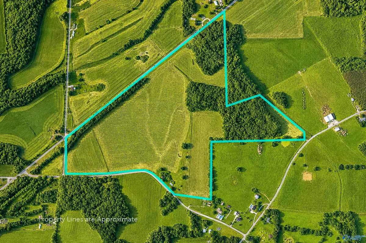 457 Oakley Chapel Road, New Market, AL 35761 - #1
