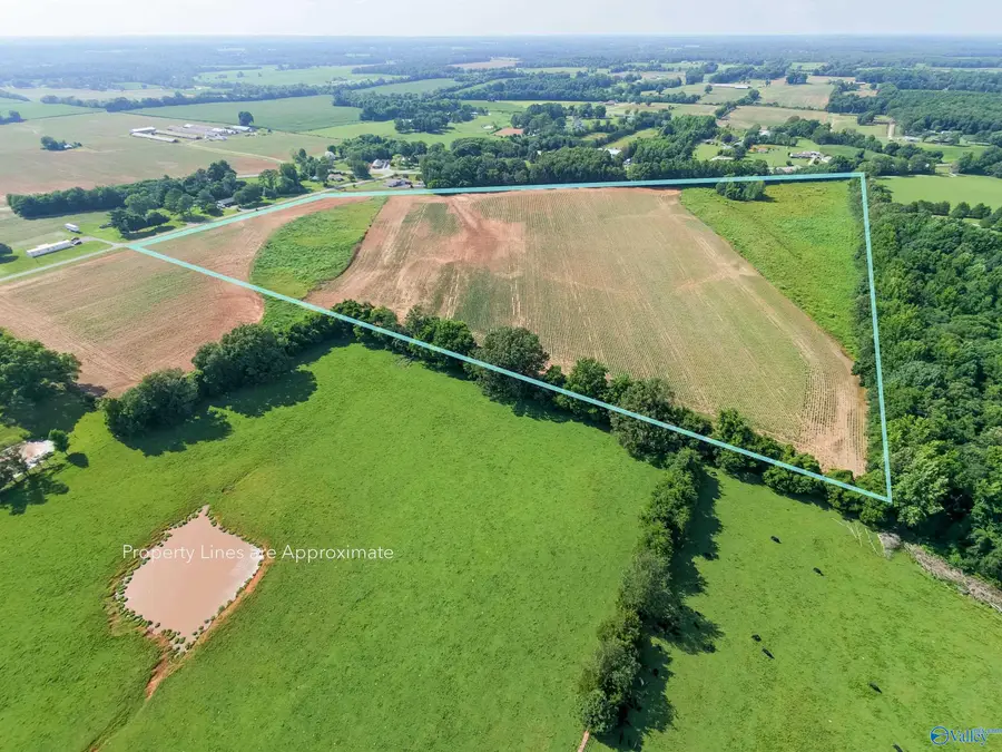 37ac Steele Lane, New Market, AL 35761 - #2