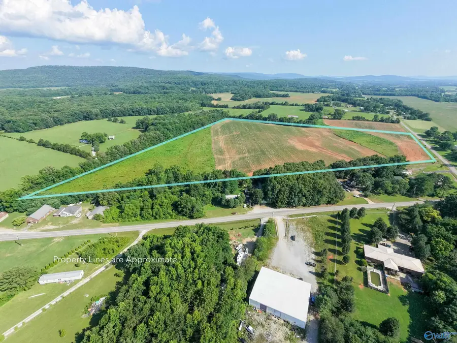 37ac Steele Lane, New Market, AL 35761 - #3