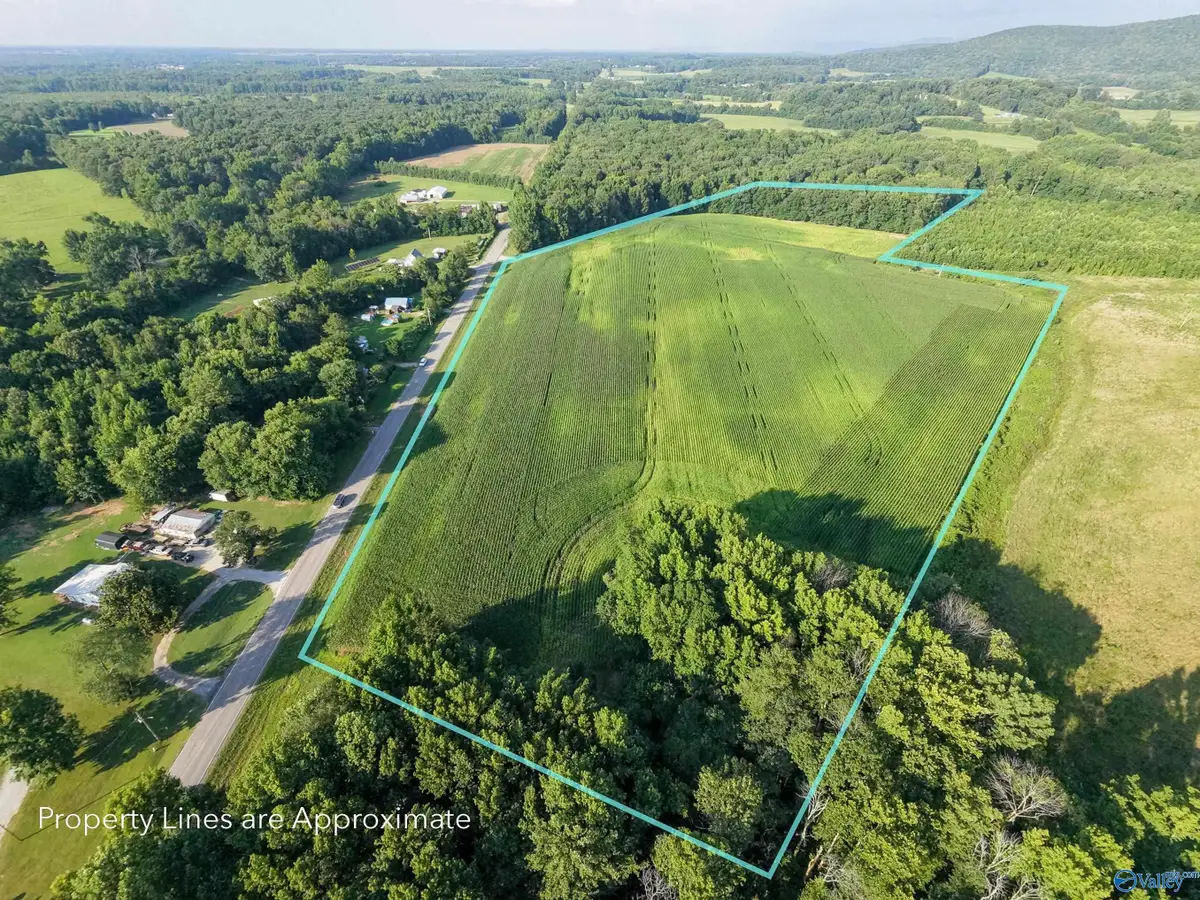 8204 Winchester Road, New Market, AL 35761 - #1
