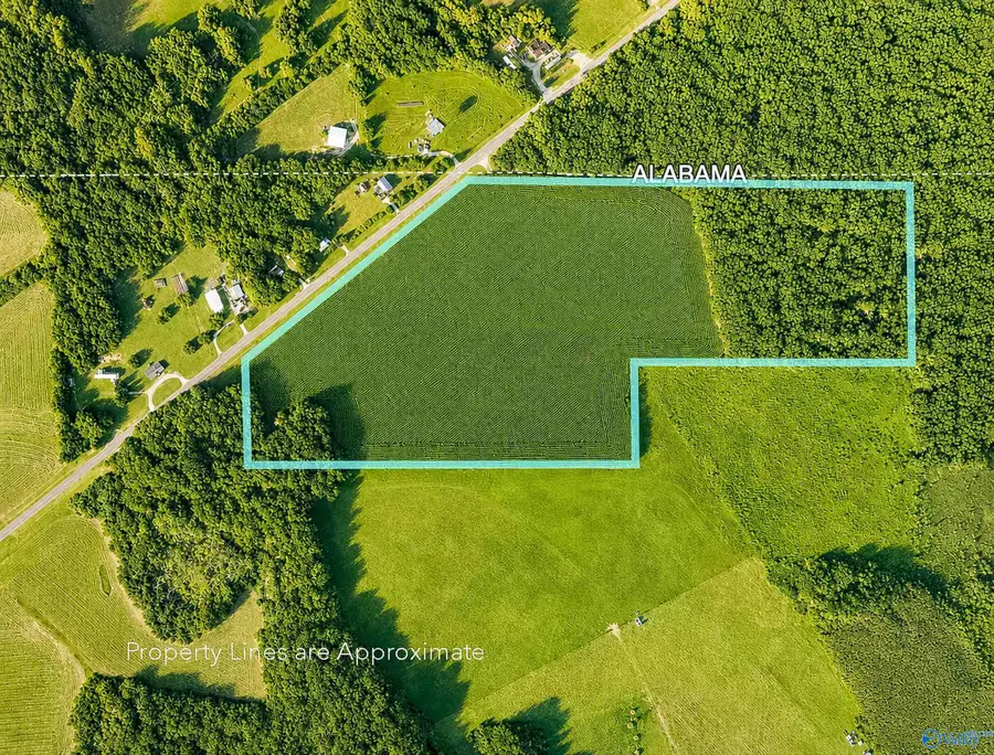 8204 Winchester Road, New Market, AL 35761 - #2