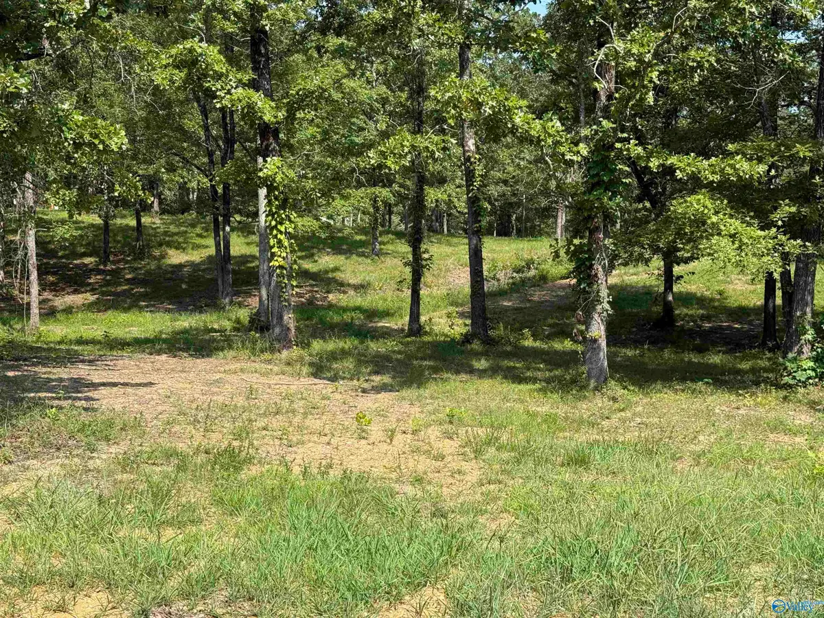 1 County Road 819, Cedar Bluff, AL 35959 - #1