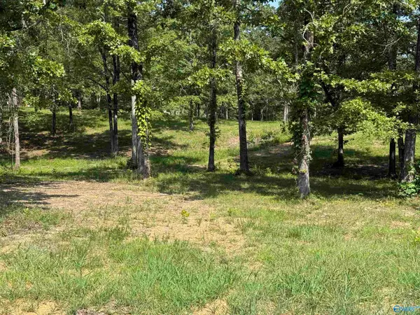1 County Road 819, Cedar Bluff, AL 35959