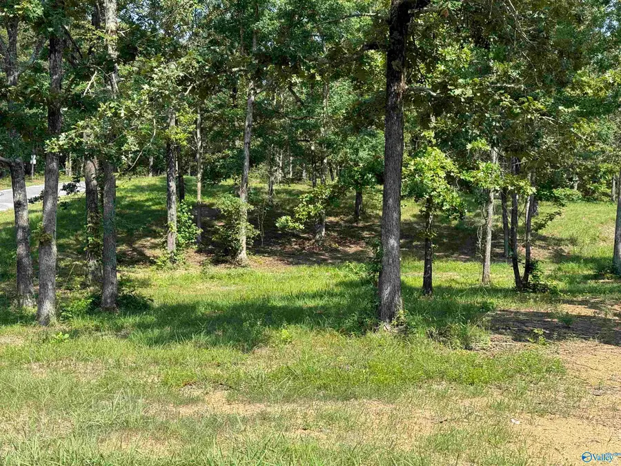 1 County Road 819, Cedar Bluff, AL 35959 - #2
