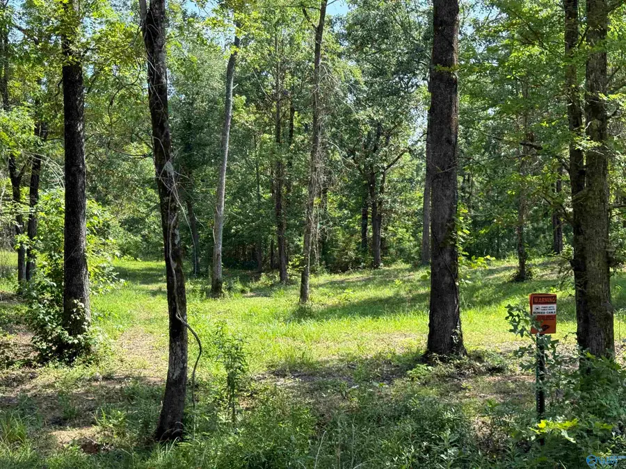 1 County Road 819, Cedar Bluff, AL 35959 - #3