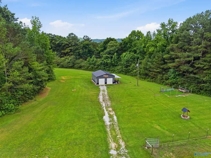945 Pine Burr Road, Eva, AL 35621 - #3