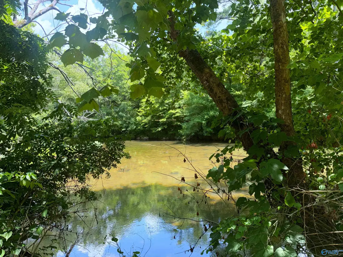 Lot 34 County Road 336, Piedmont, AL 36272 - #1
