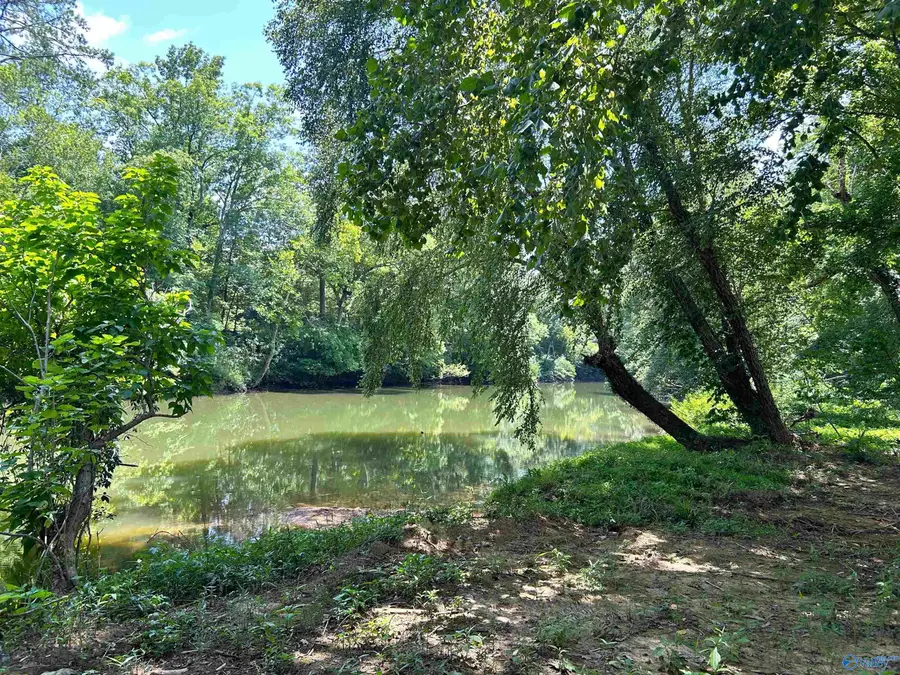 Lot 34 County Road 336, Piedmont, AL 36272 - #2