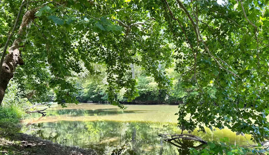 Lot 34 County Road 336, Piedmont, AL 36272 - #3