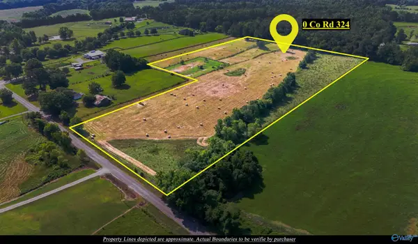 17 ACRES County Road 324, Moulton, AL 35650