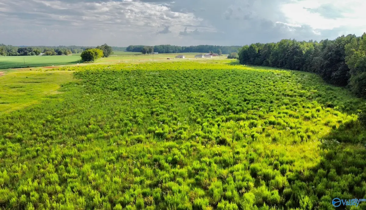 26 Acres Piney Chapel Road, Athens, AL 35614 - #1
