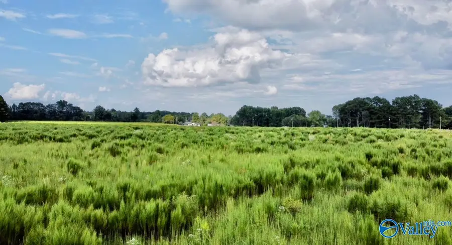 26 Acres Piney Chapel Road, Athens, AL 35614 - #3