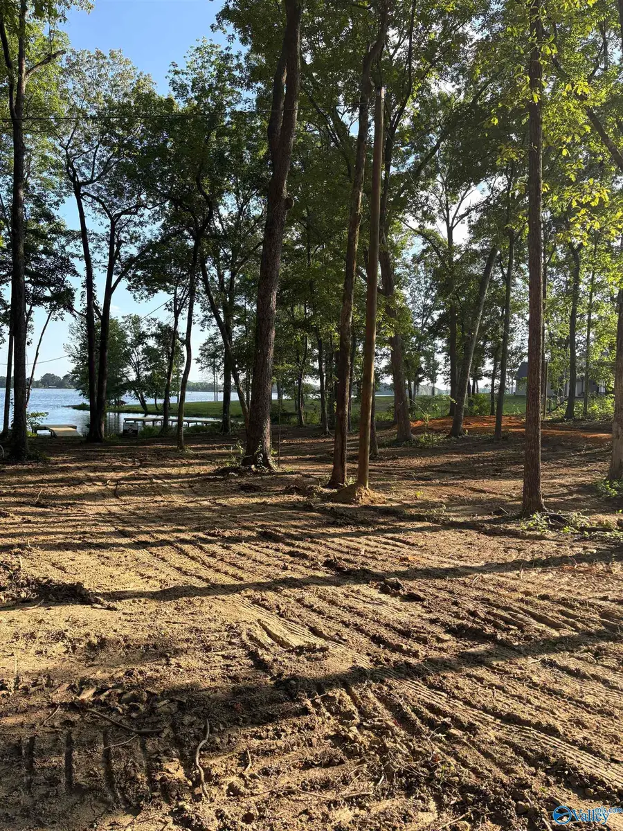 14B County Road 671, Cedar Bluff, AL 35959 - #3