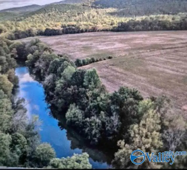 Lot 27 County Road 336, Piedmont, AL 36272 - #1