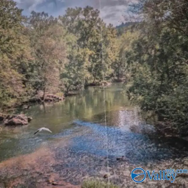 Lot 27 County Road 336, Piedmont, AL 36272 - #2