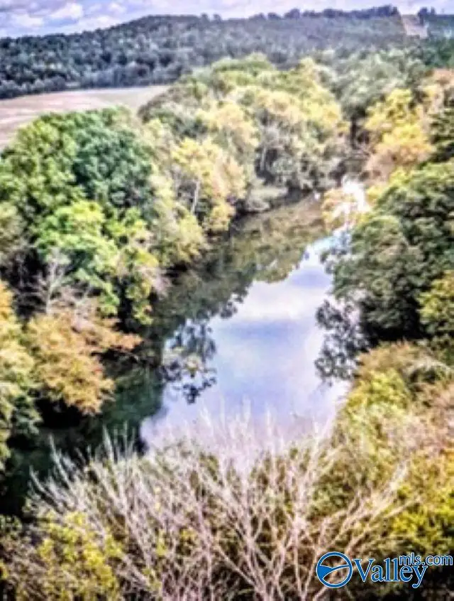 Lot 27 County Road 336, Piedmont, AL 36272 - #3