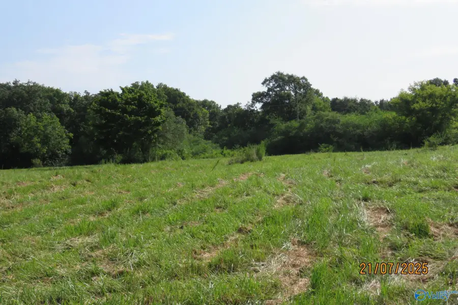 Tract 1 & 2 Brown Road, Boaz, AL 35957 - #2