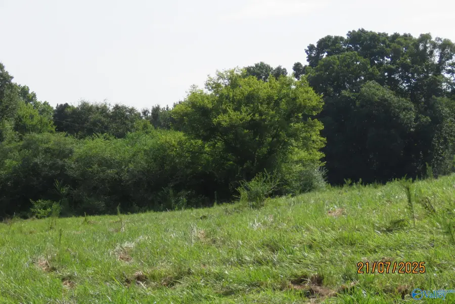 Tract 1 & 2 Brown Road, Boaz, AL 35957 - #3
