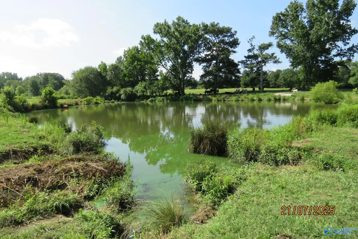 Tract 7 Brown Road, Boaz, AL 35957 - #1
