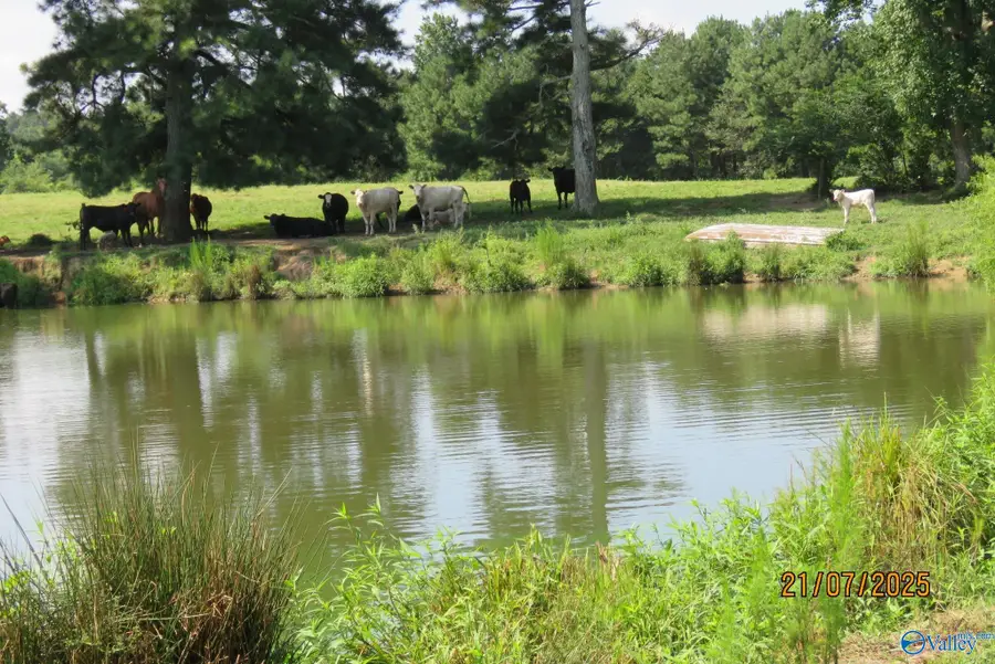 Tract 7 Brown Road, Boaz, AL 35957 - #2