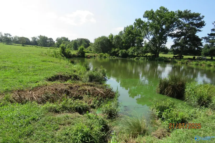 Tract 7 Brown Road, Boaz, AL 35957 - #3