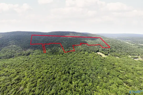 70.45 acres Upper Hurricane Road #00, New Market, AL 35761