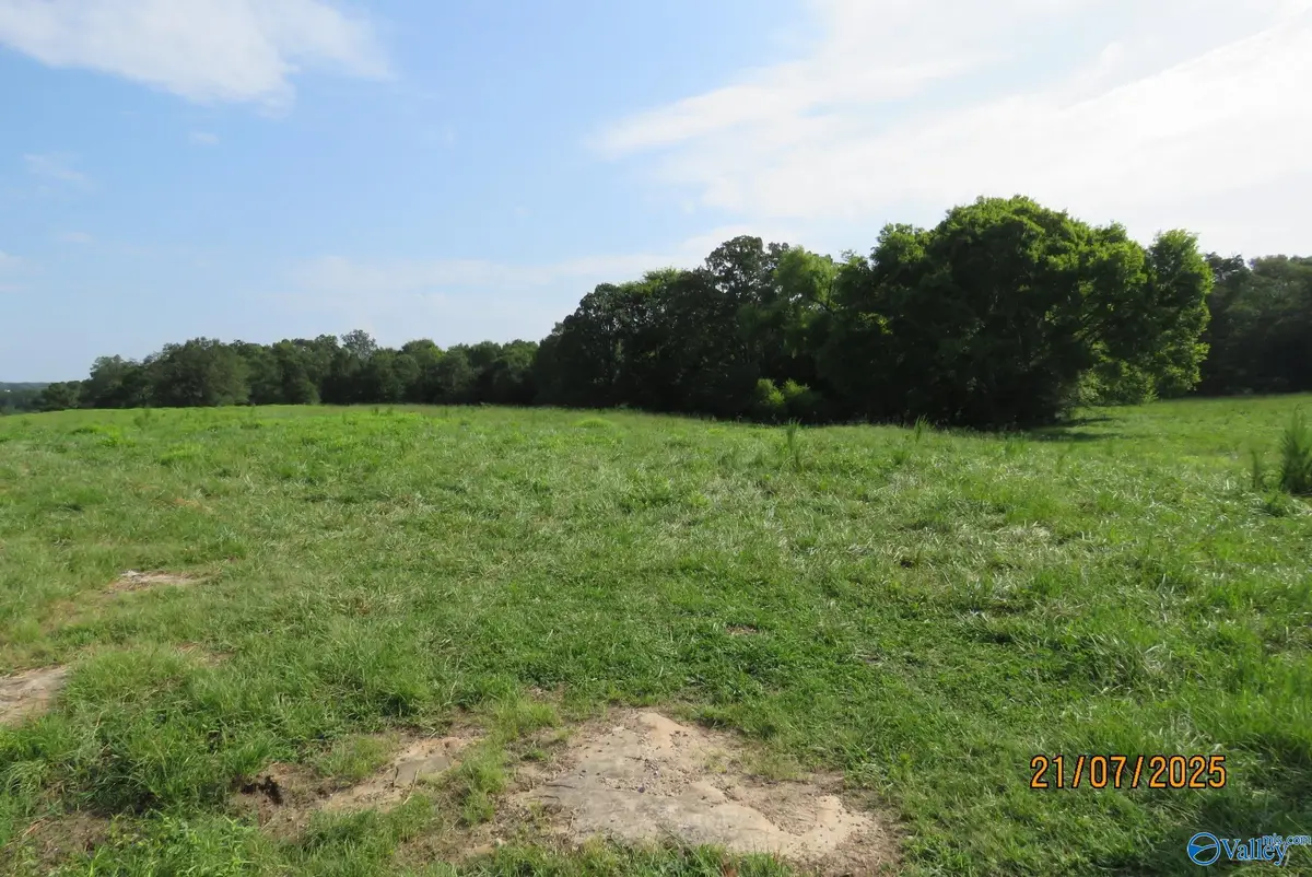 Tract 11 Brown Road, Boaz, AL 35957 - #1