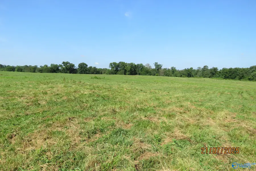 Tract 4 Brown Road, Boaz, AL 35957 - #3