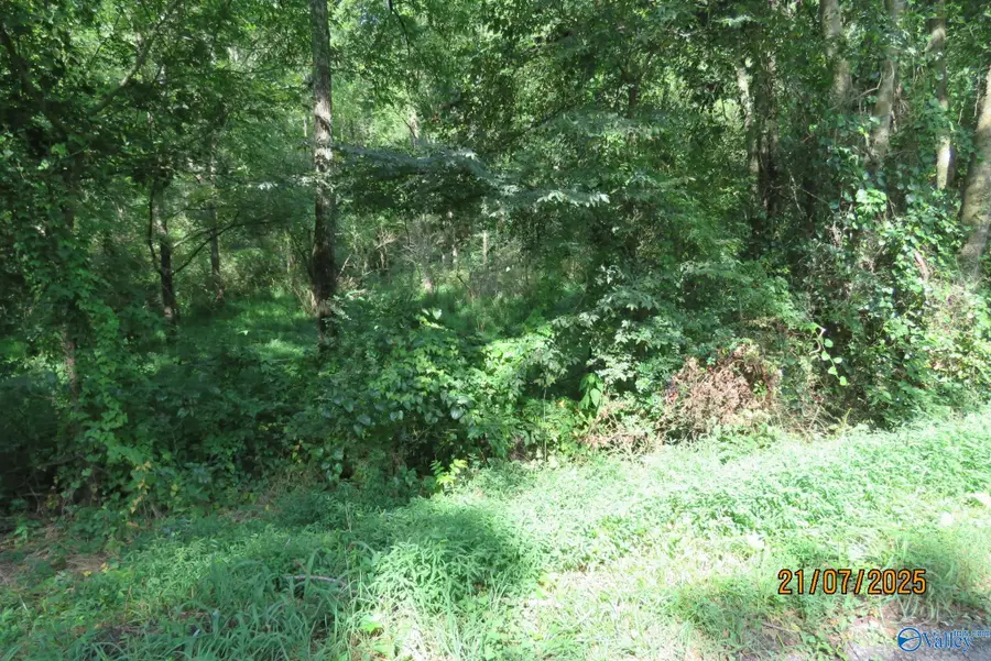 Tract 6 Brown Road, Boaz, AL 35957 - #2