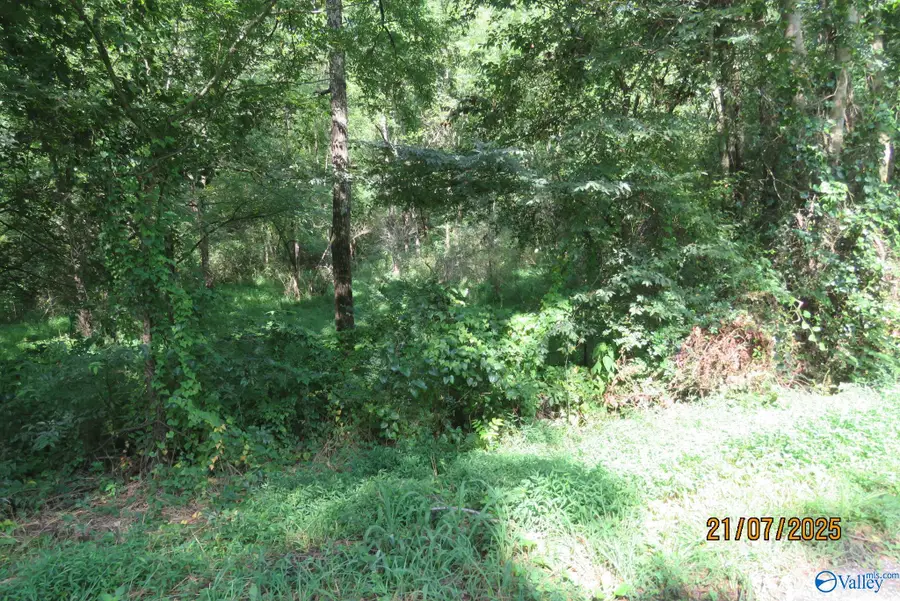 Tract 9 Brown Road, Boaz, AL 35957 - #3
