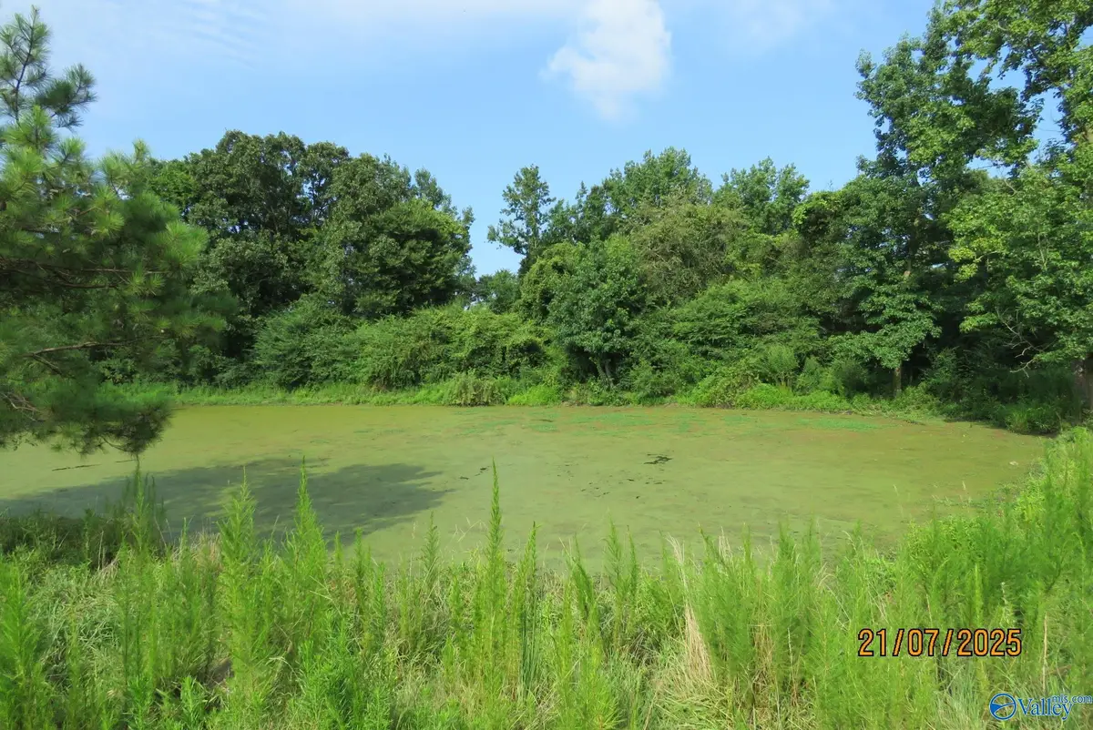 Tract 10 Brown Road, Boaz, AL 35957 - #1