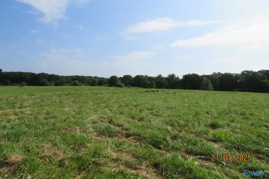 Tract 10 Brown Road, Boaz, AL 35957 - #3