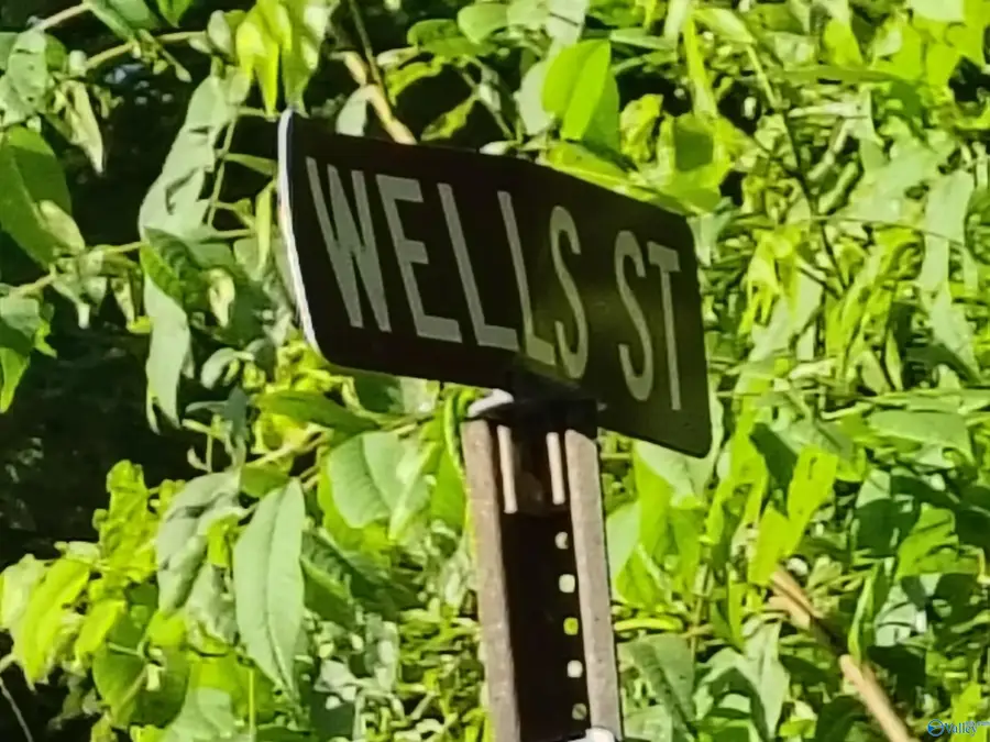 0.59 acres Wells Street, Mentone, AL 35984 - #3