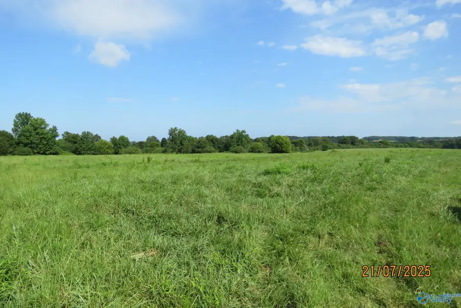 Tract 13 Brown Road, Boaz, AL 35957 - #2