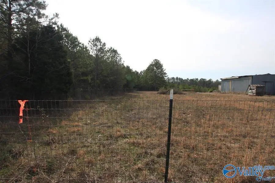 9.06 Old Highway 411, Centre, AL 35960 - #2