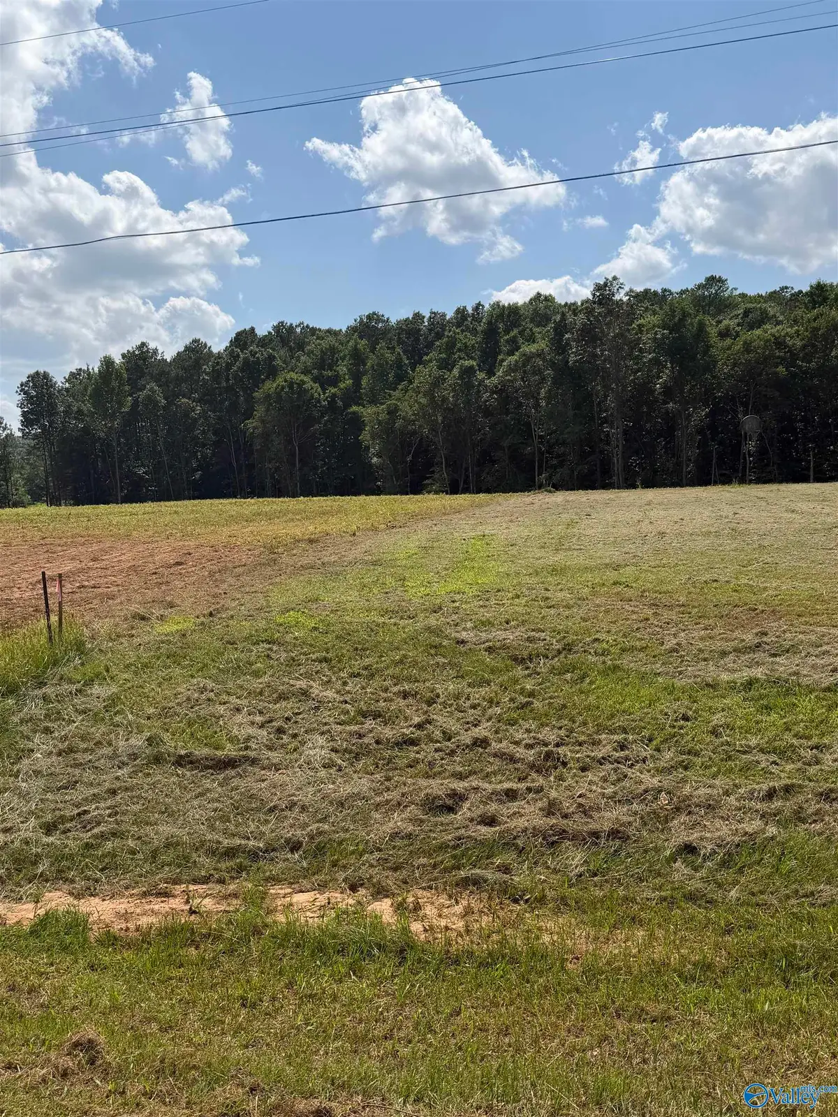 1556 Bluff City Road, Somerville, AL 35670 - #1