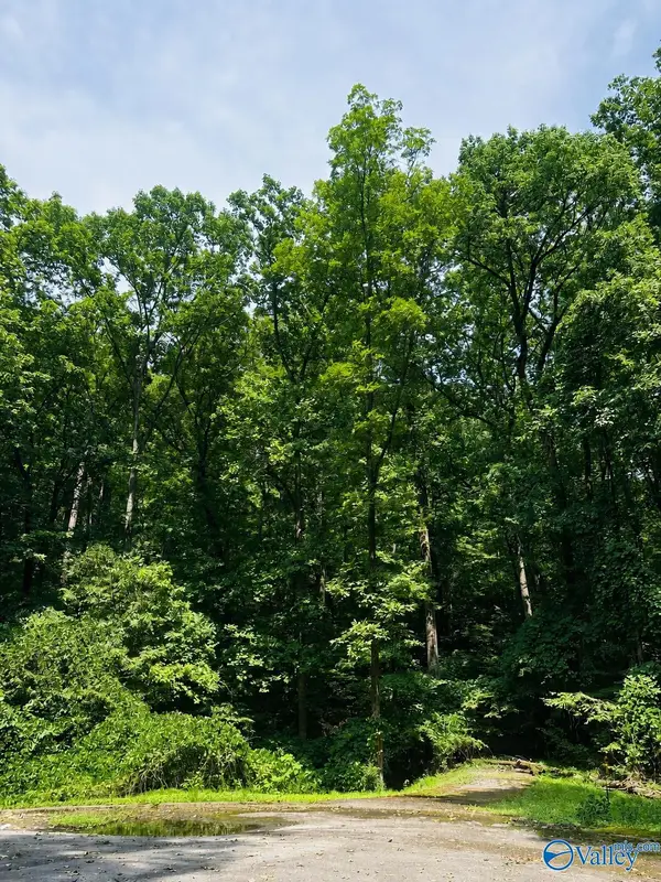 400 Northwoods Trail, Gadsden, AL 35901