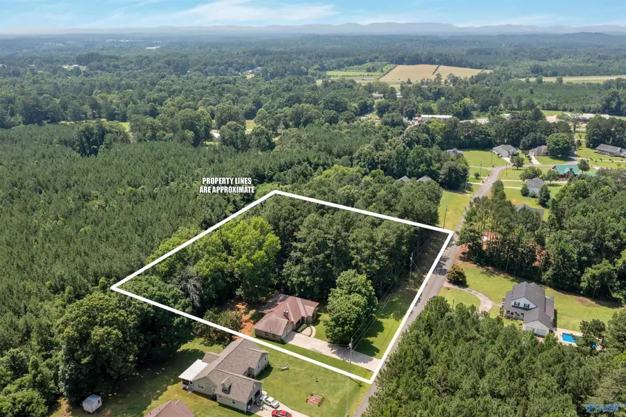 124 Mountain Creek Drive, Gadsden, AL 35901 - #3
