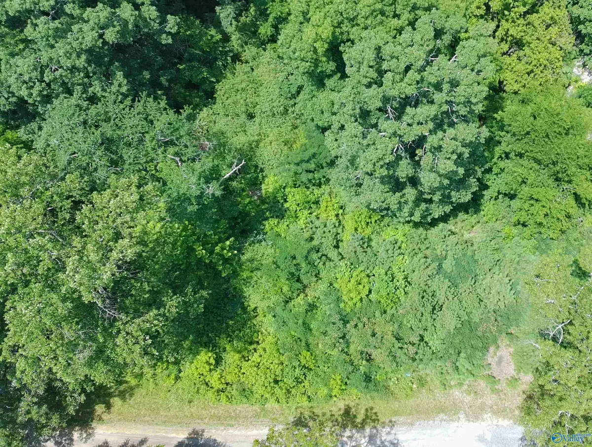 46 Foothill Circle, Arab, AL 35016 - #1