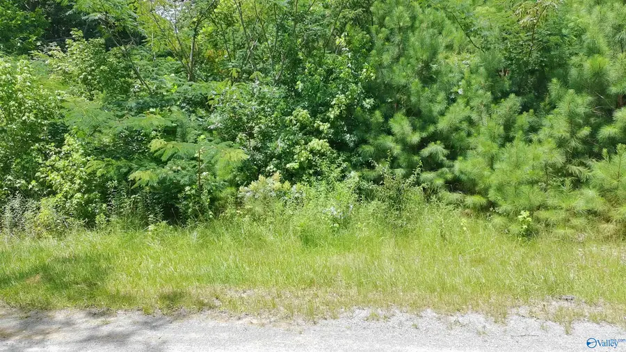 46 Foothill Circle, Arab, AL 35016 - #3