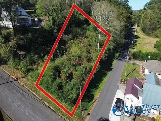 2195 Taylor Street, Guntersville, AL 35976 - #1